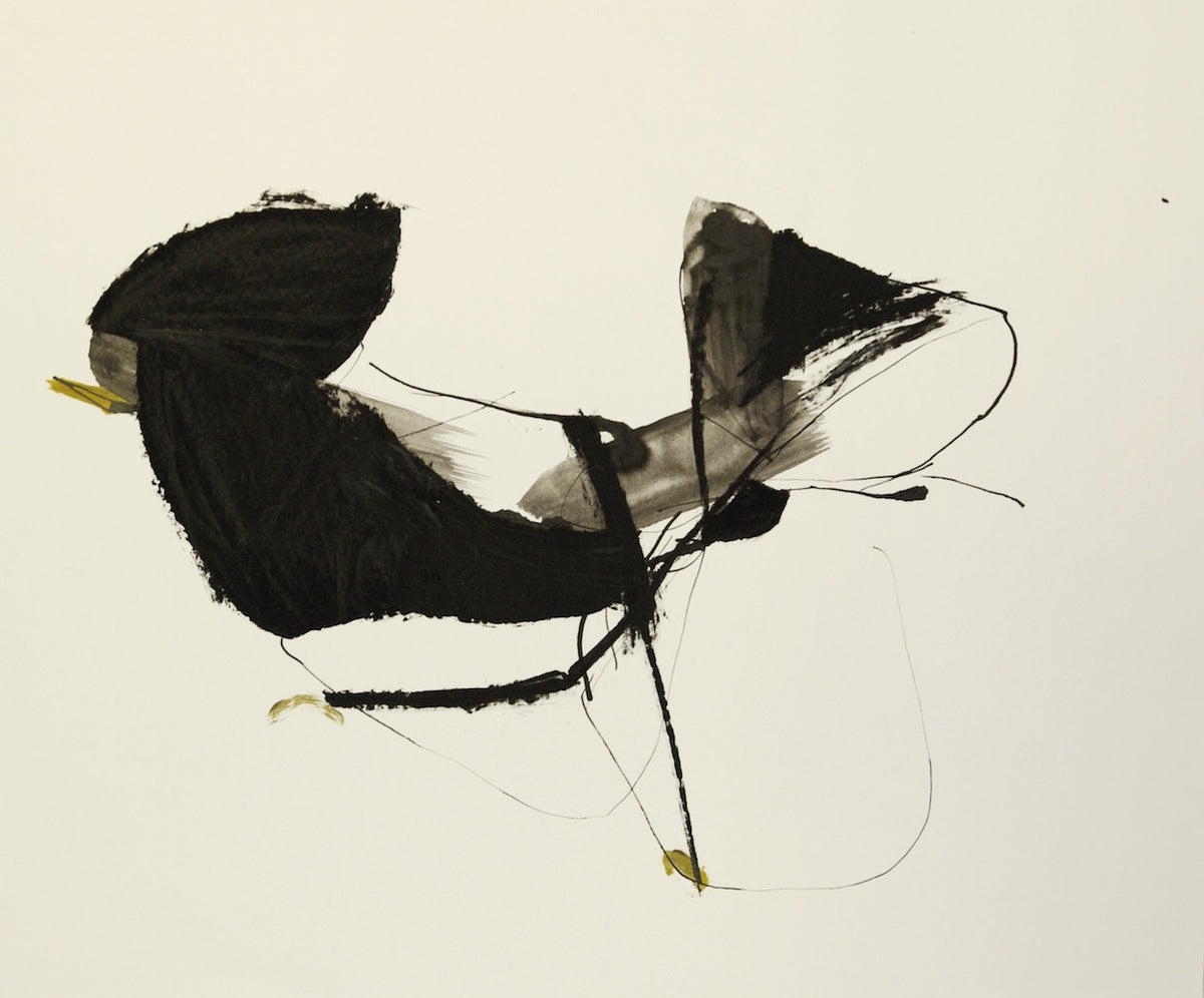 vogel